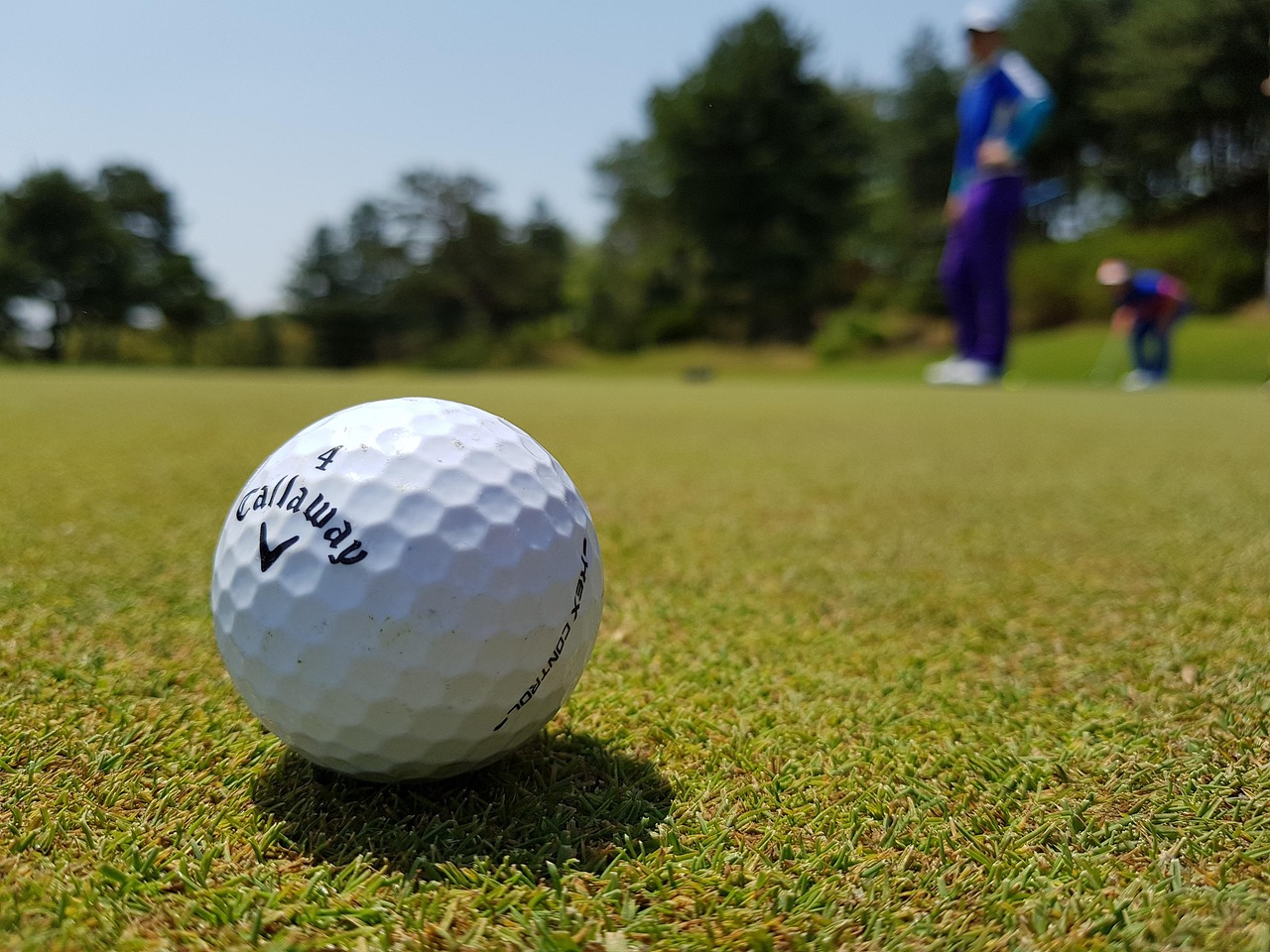 golfiści